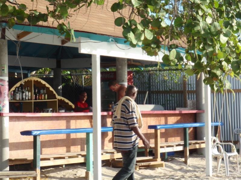 Name:  PC240283 (Medium).jpg
Views: 561
Size:  92.1 KB
