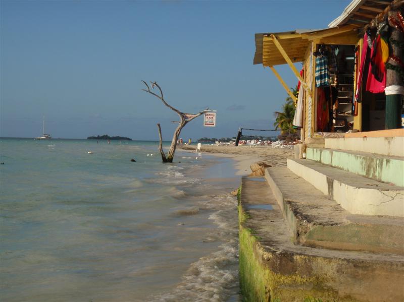Name:  PC240290 (Medium).JPG
Views: 520
Size:  64.1 KB
