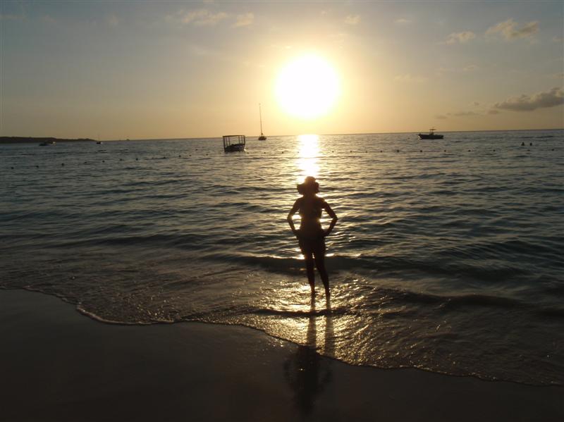 Name:  PC240295 (Medium).JPG
Views: 570
Size:  63.1 KB
