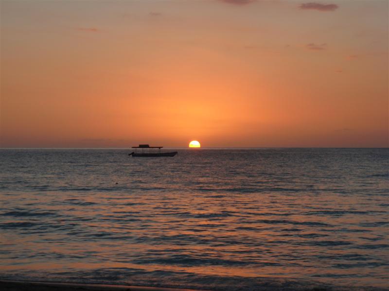Name:  PC240302 (Medium).JPG
Views: 540
Size:  57.0 KB
