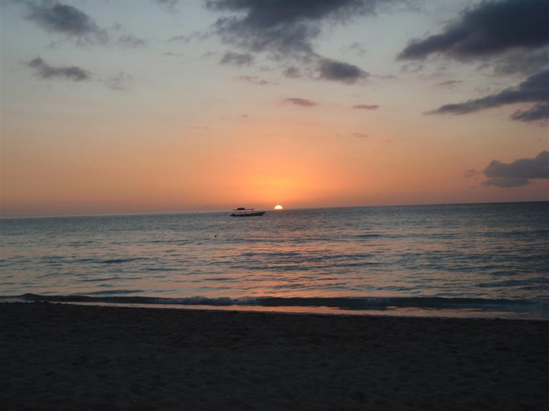 Name:  PC240303 (Medium).JPG
Views: 549
Size:  50.2 KB