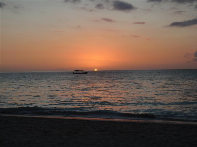 Name:  PC240304 (Medium).JPG
Views: 548
Size:  51.0 KB