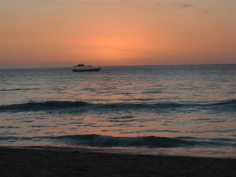Name:  PC240305 (Medium).JPG
Views: 540
Size:  56.2 KB