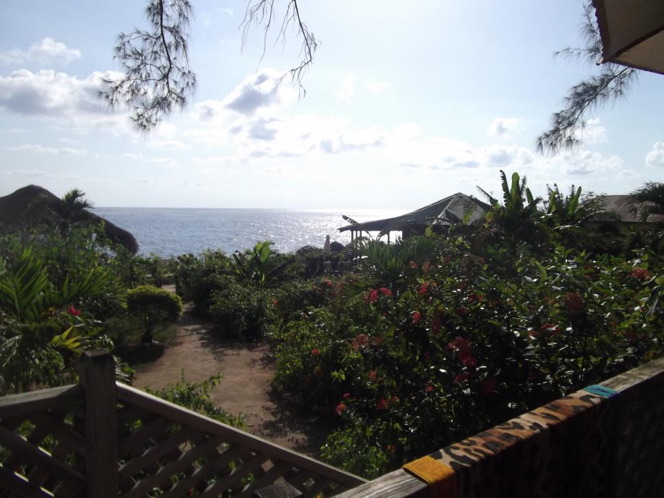 Name:  DSCF0449.jpg
Views: 1695
Size:  92.3 KB