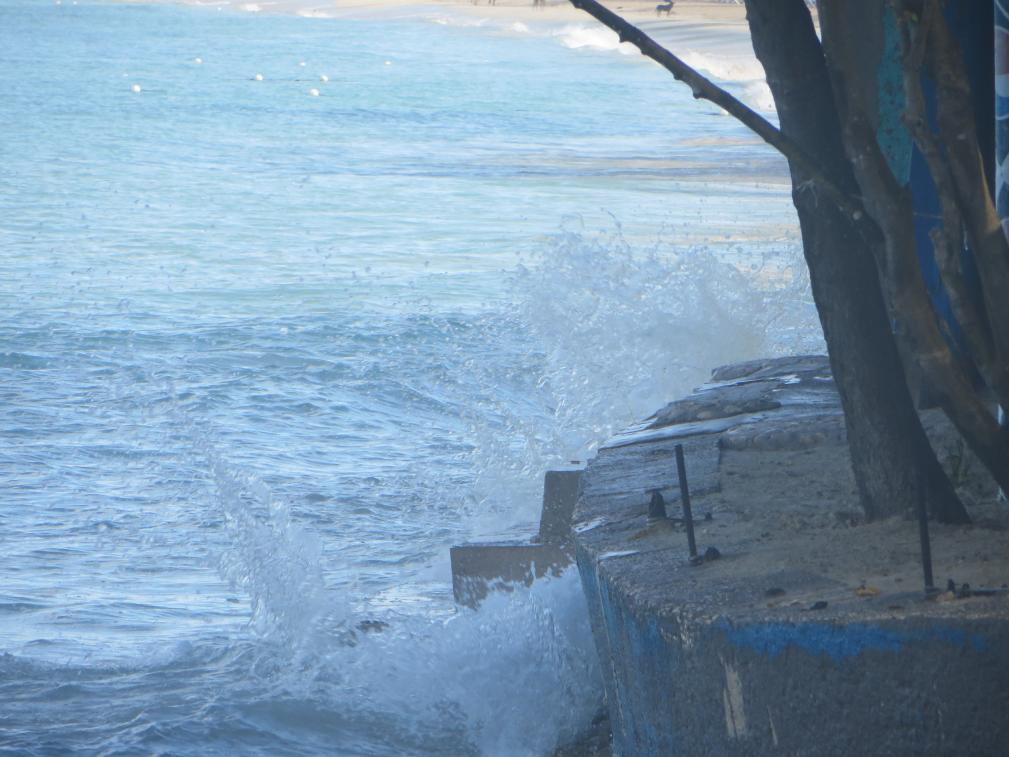 Name:  IMG_0233.jpg
Views: 415
Size:  93.1 KB