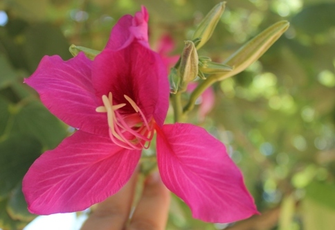 Name:  017.JPG
Views: 326
Size:  83.0 KB