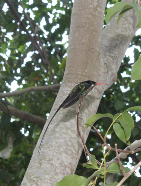 Name:  IMG_4412.jpg
Views: 410
Size:  47.0 KB
