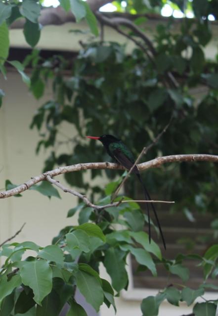 Name:  IMG_4428.jpg
Views: 426
Size:  31.8 KB