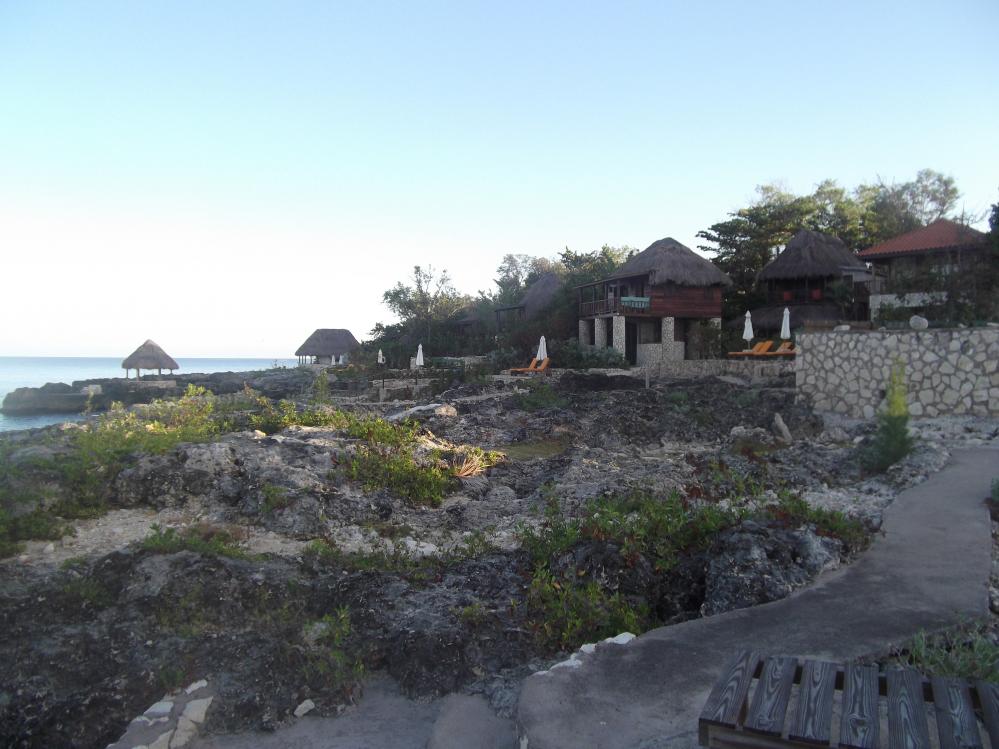 Name:  DSCF0504.jpg
Views: 1488
Size:  93.3 KB