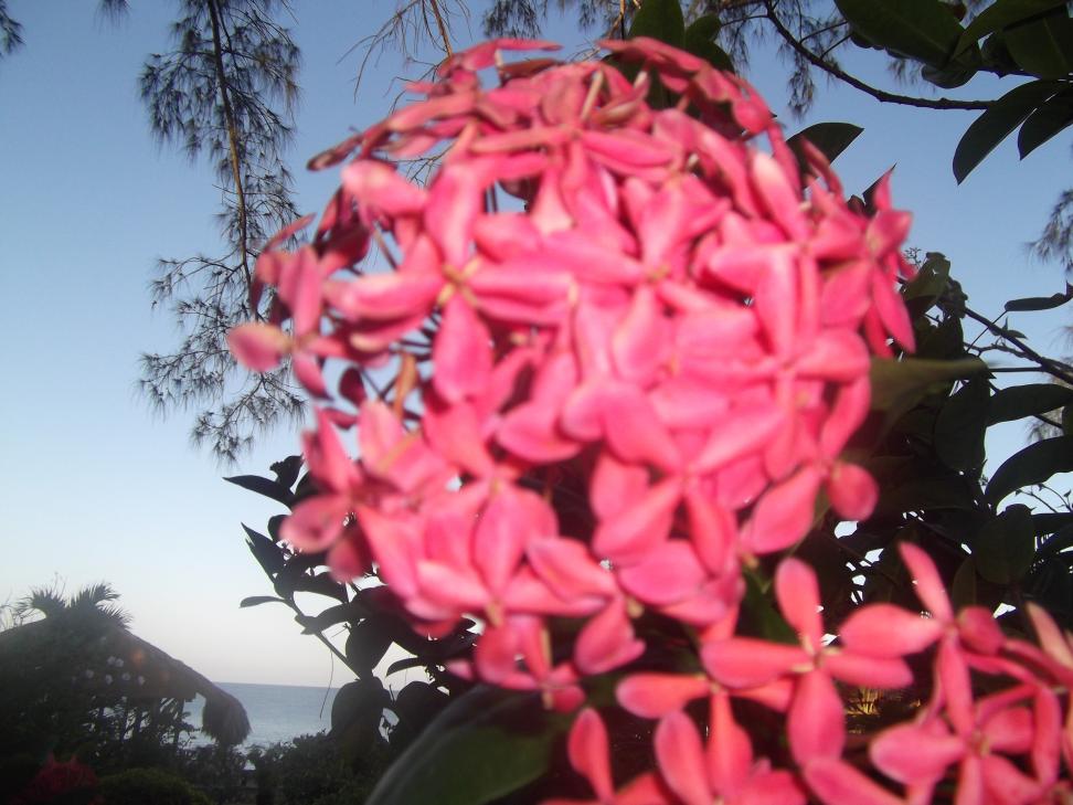 Name:  DSCF0507.jpg
Views: 1490
Size:  90.0 KB