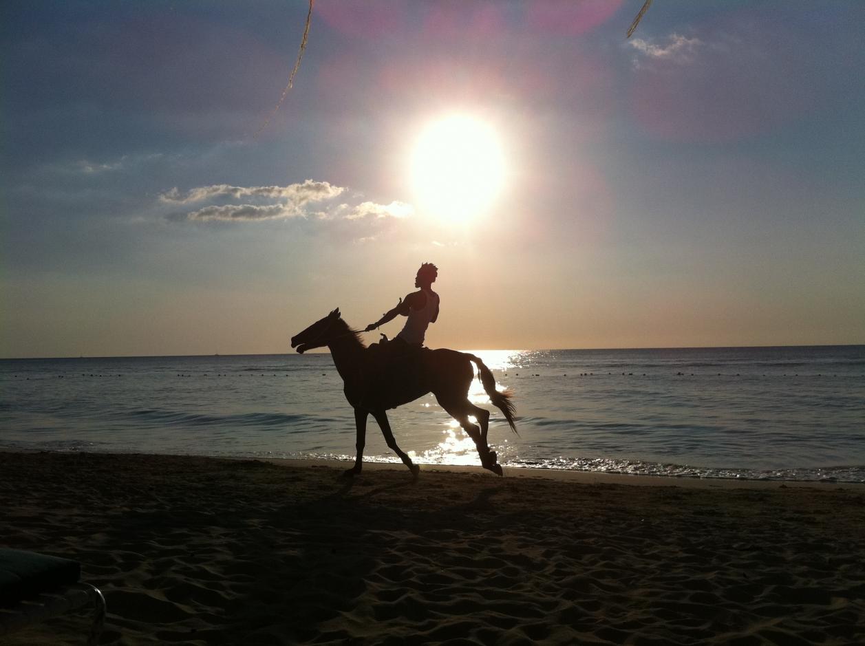 Name:  gorgeous horseback sunset CC iphone 010 (6).jpg
Views: 535
Size:  93.2 KB