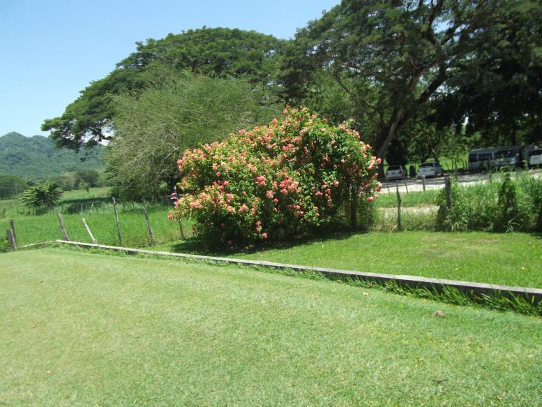 Name:  DSCF0547.jpg
Views: 1724
Size:  98.1 KB