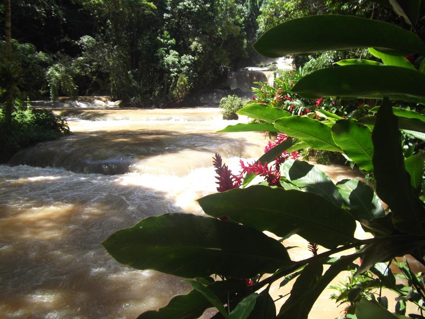Name:  DSCF0559.jpg
Views: 1697
Size:  95.6 KB