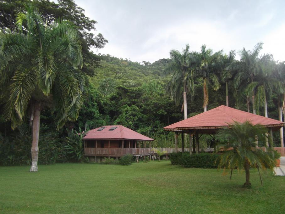 Name:  DSCF0581.jpg
Views: 1675
Size:  95.8 KB