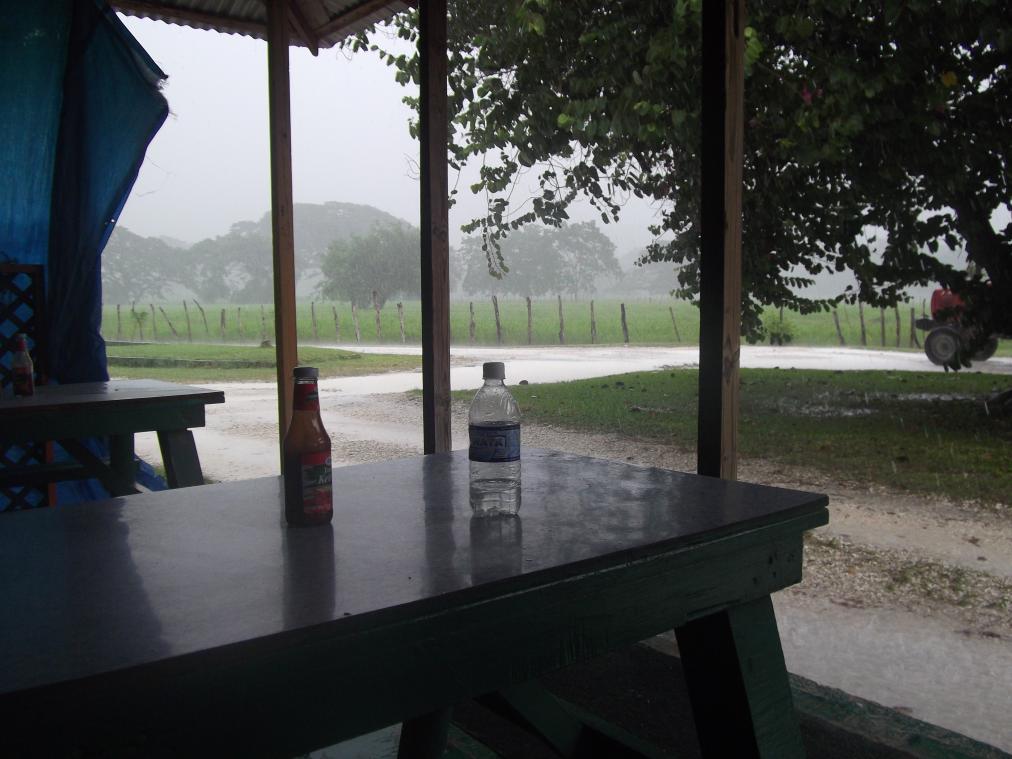 Name:  DSCF0592.jpg
Views: 1666
Size:  90.6 KB