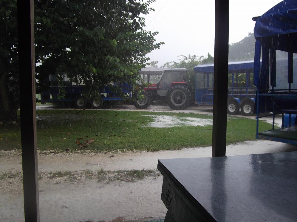 Name:  DSCF0593.jpg
Views: 1667
Size:  92.9 KB