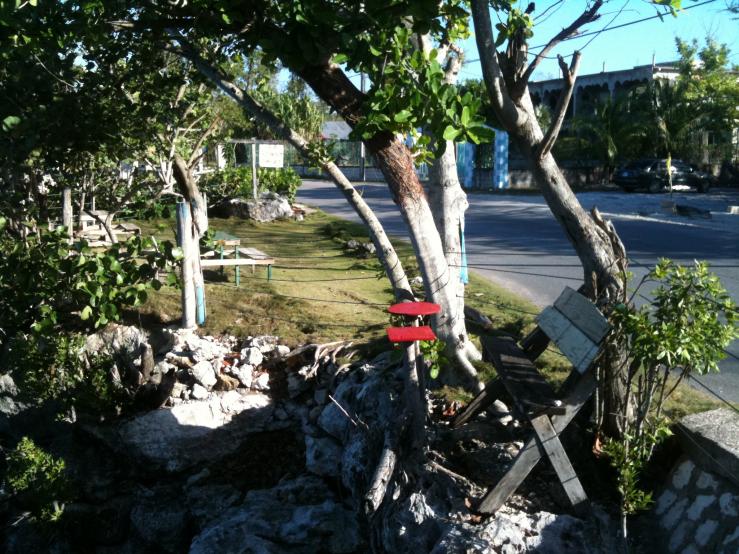 Name:  5 -Negril lookout.jpg
Views: 361
Size:  102.2 KB