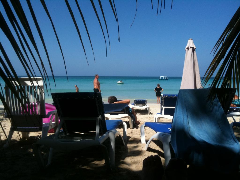 Name:  8-Seawind on beach  under palm.jpg
Views: 387
Size:  90.7 KB