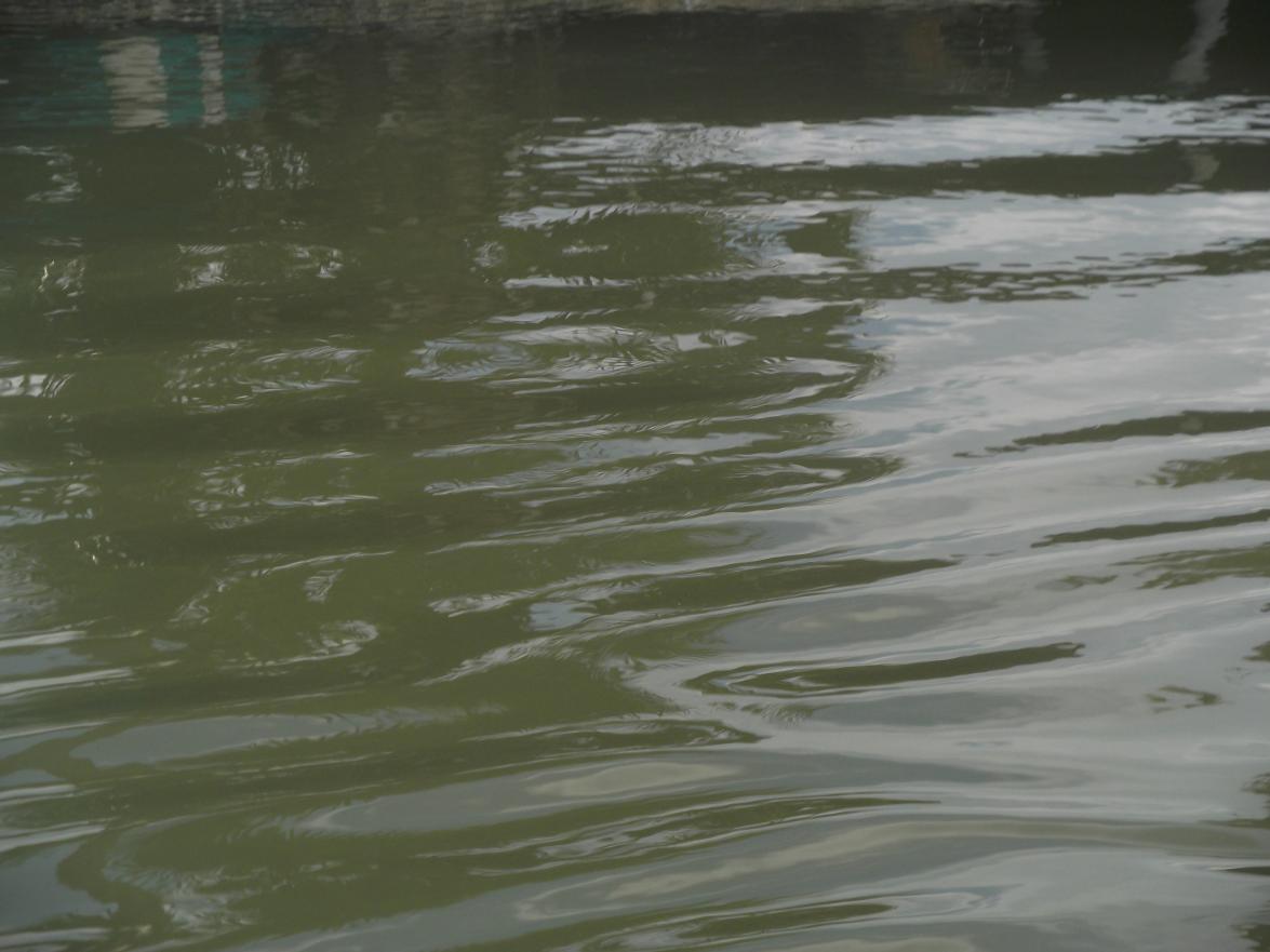Name:  DSCF0612.jpg
Views: 1449
Size:  82.2 KB