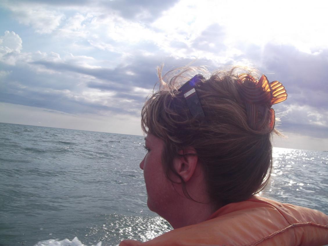 Name:  DSCF0618.jpg
Views: 1420
Size:  87.7 KB