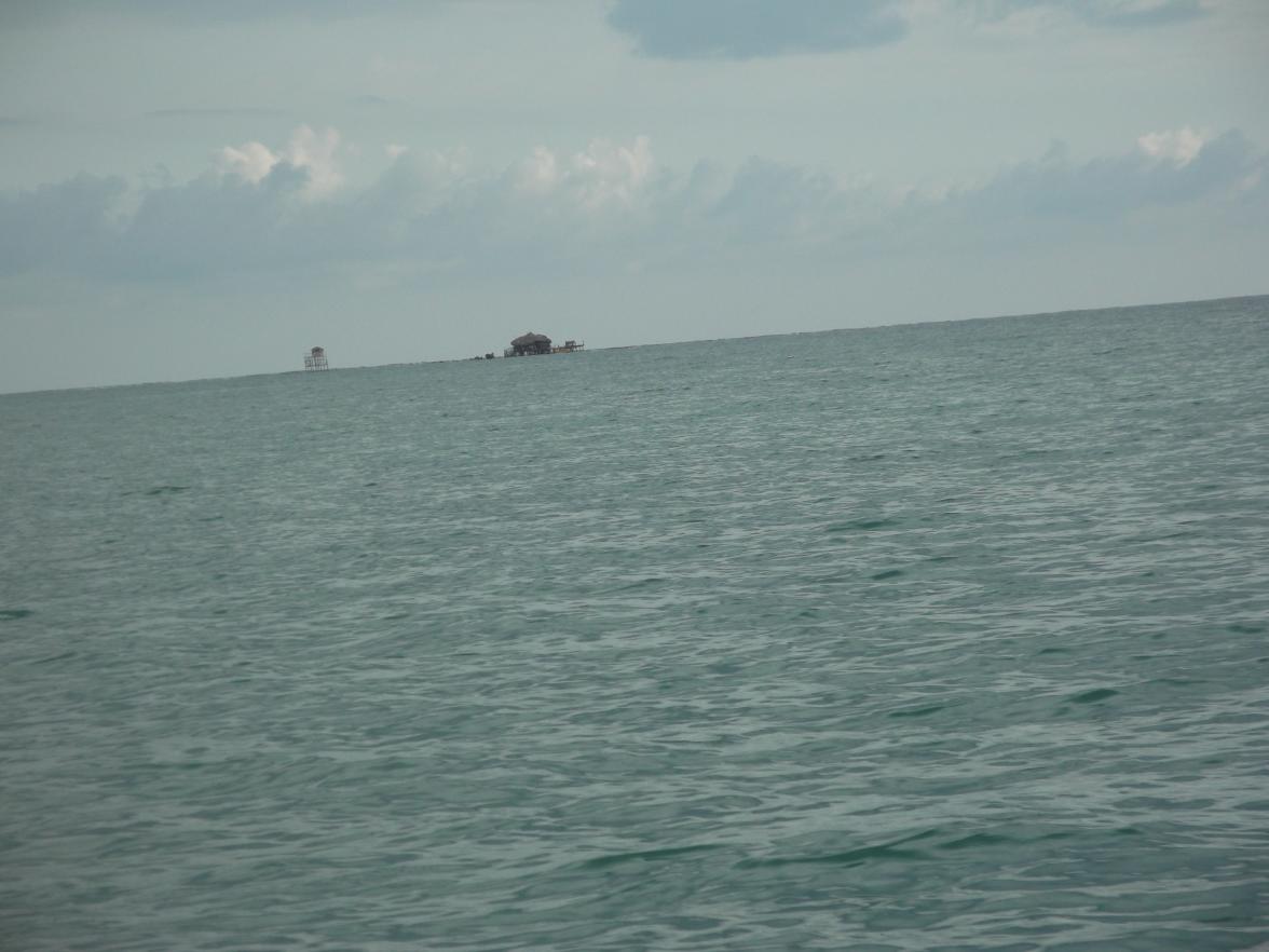 Name:  DSCF0633.jpg
Views: 1645
Size:  89.4 KB