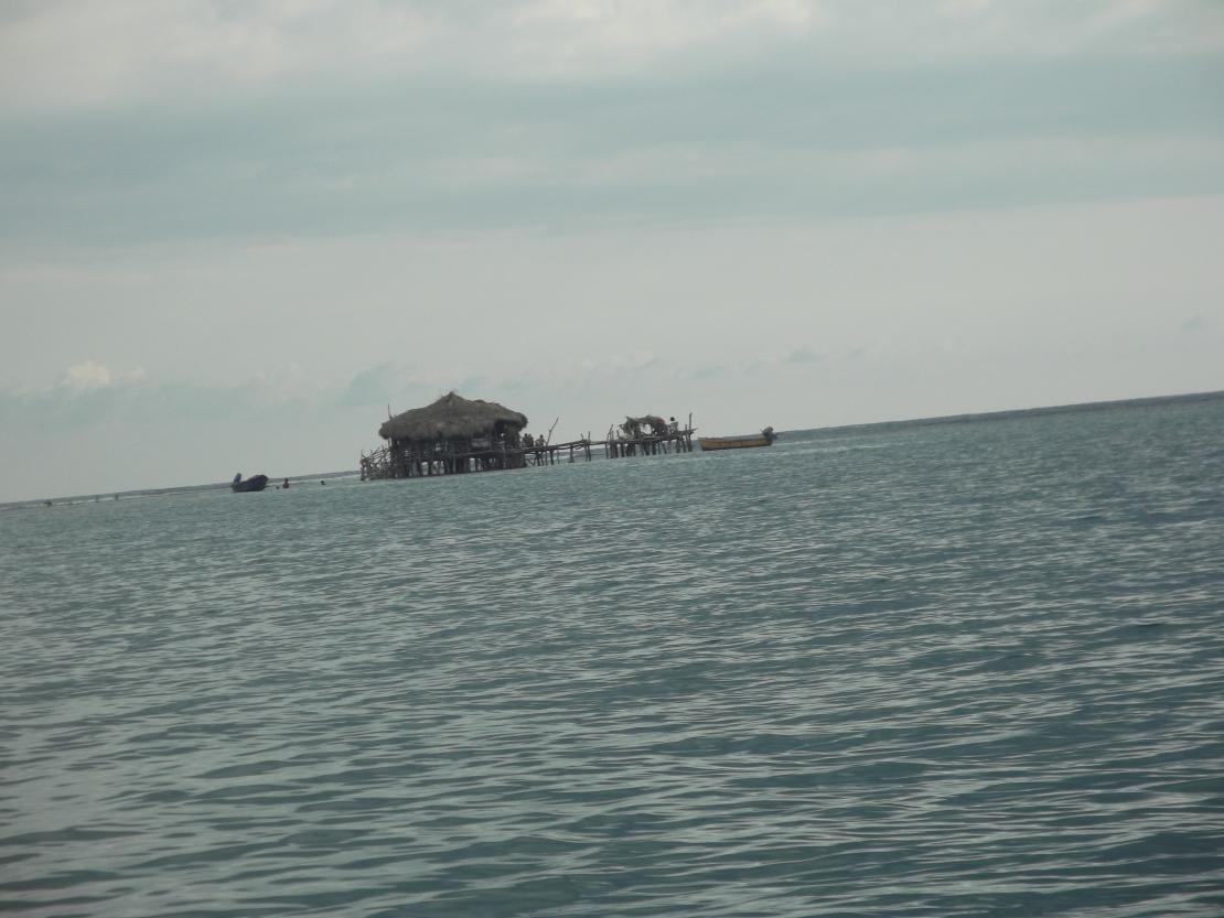 Name:  DSCF0636.jpg
Views: 1629
Size:  91.5 KB