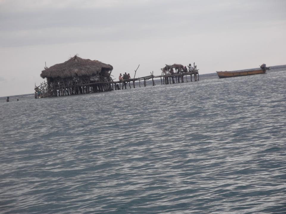 Name:  DSCF0637.jpg
Views: 1656
Size:  94.0 KB