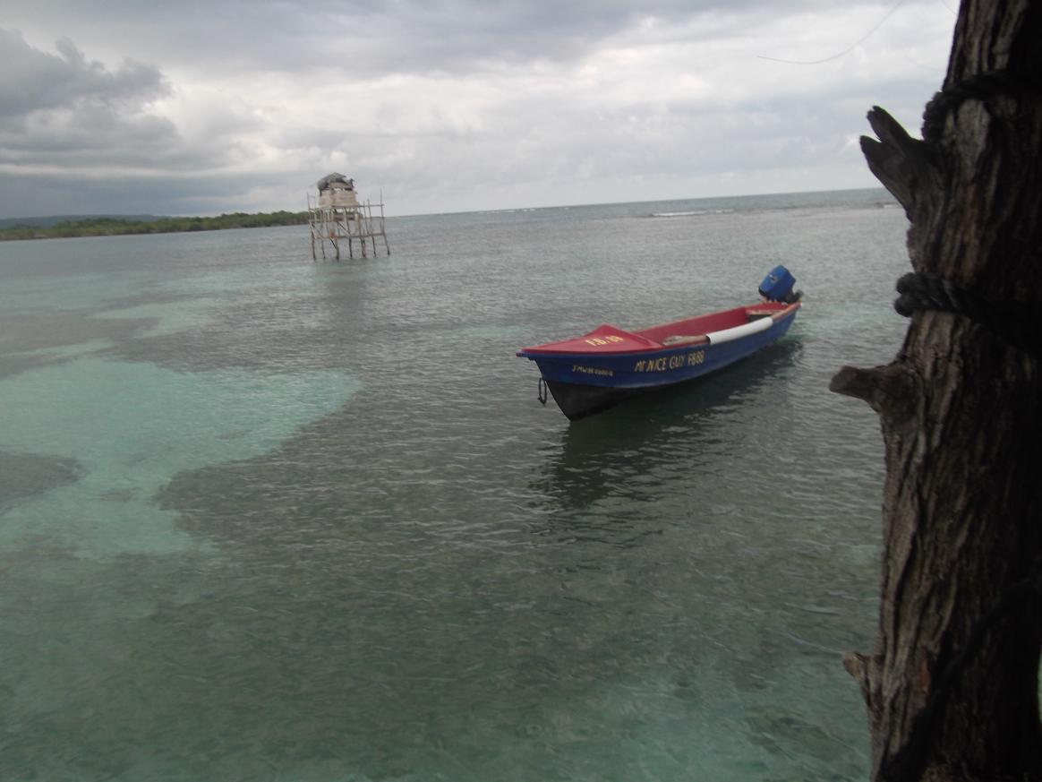 Name:  DSCF0646.jpg
Views: 1581
Size:  86.4 KB