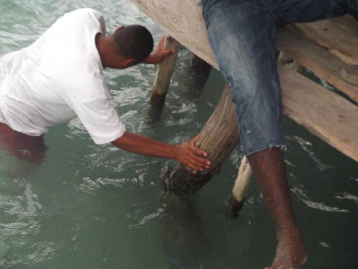 Name:  DSCF0679.jpg
Views: 1486
Size:  80.5 KB