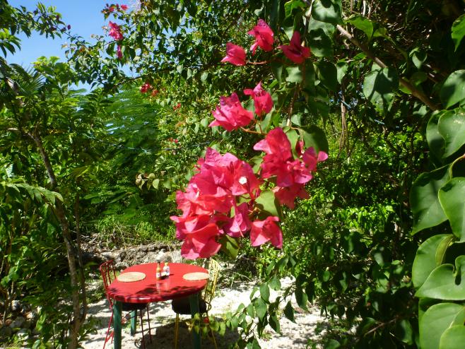 Name:  P1010945.jpg
Views: 836
Size:  103.5 KB