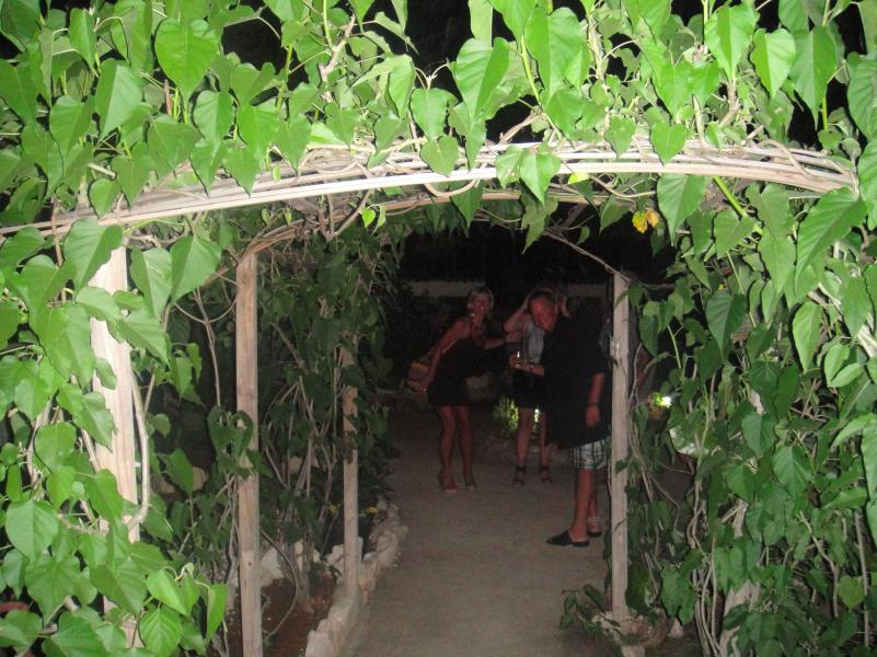 Name:  Jamaica 2012 081.jpg
Views: 436
Size:  98.7 KB