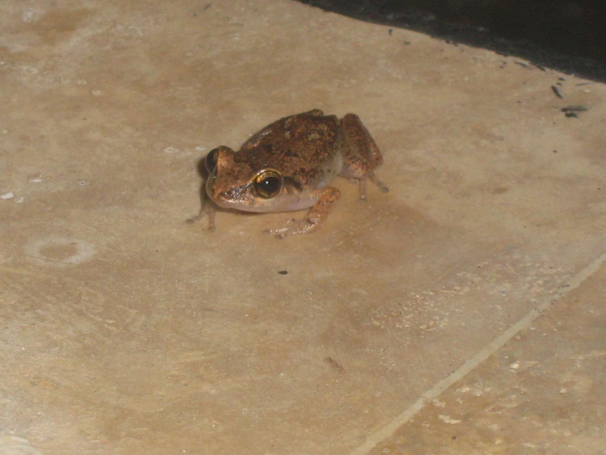 Name:  IMG_2255.jpg
Views: 276
Size:  90.9 KB