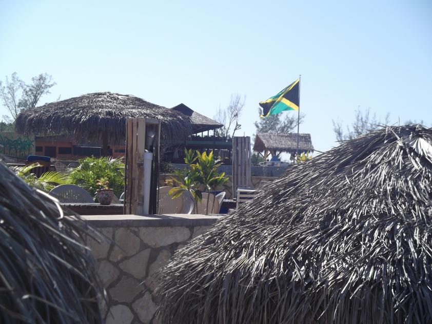 Name:  DSCF0686.jpg
Views: 1614
Size:  96.6 KB