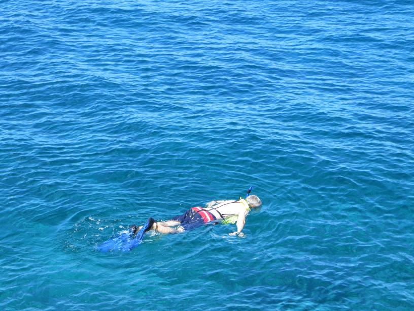 Name:  IMG_0034.jpg
Views: 923
Size:  97.6 KB