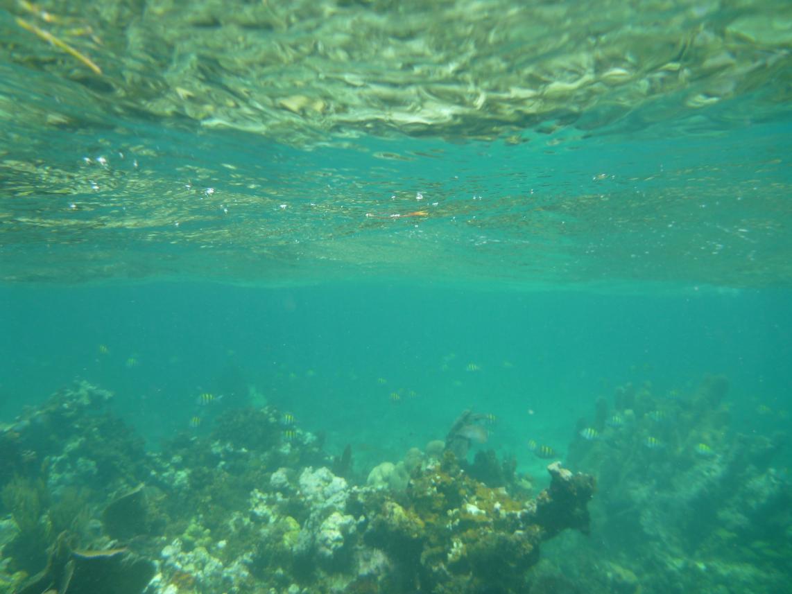 Name:  P1020167.jpg
Views: 618
Size:  85.3 KB