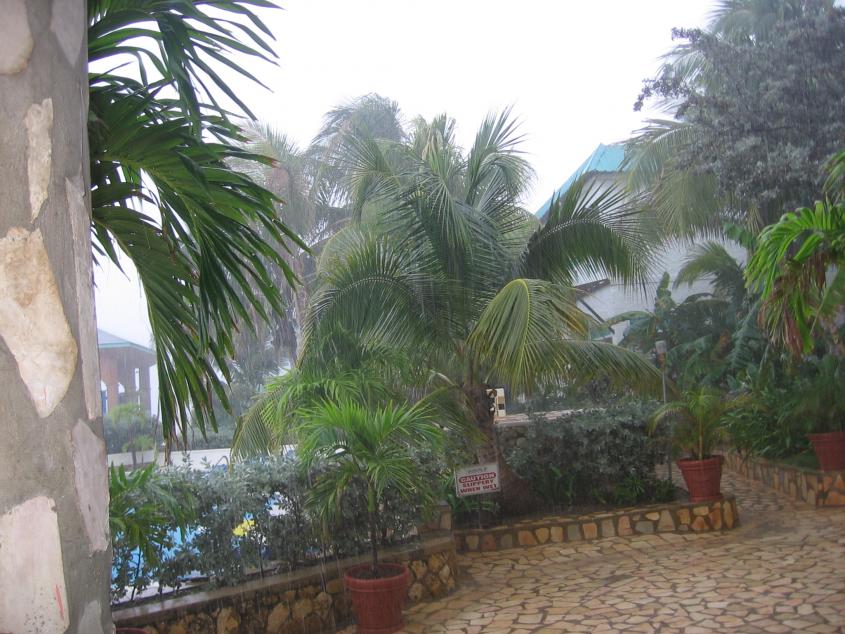 Name:  4 Hurricane SANDY PICS 002.jpg
Views: 753
Size:  96.5 KB