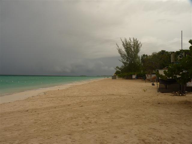Name:  P1010175 (Small).JPG
Views: 617
Size:  32.7 KB