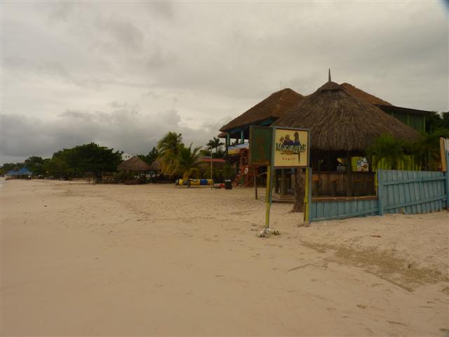Name:  P1010178 (Small).JPG
Views: 599
Size:  31.5 KB