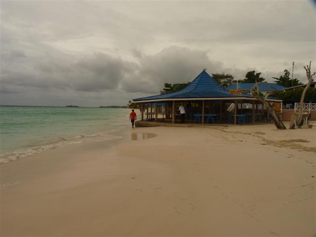Name:  P1010182 (Small).JPG
Views: 596
Size:  26.0 KB
