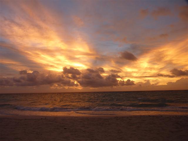 Name:  P1010217 (Small).JPG
Views: 402
Size:  34.9 KB