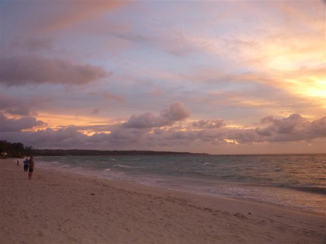 Name:  P1010220 (Small).JPG
Views: 412
Size:  29.7 KB