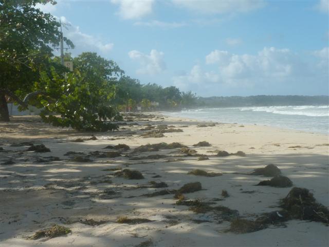 Name:  P1010279 (Small).JPG
Views: 633
Size:  46.1 KB
