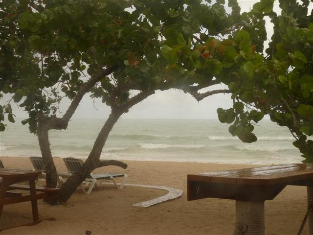 Name:  P1010256 (Small).JPG
Views: 609
Size:  52.4 KB