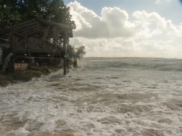 Name:  P1010324 (Small).JPG
Views: 749
Size:  48.9 KB