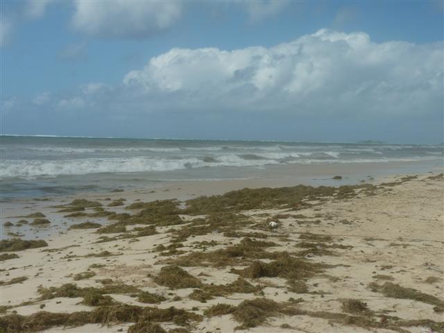 Name:  P1010298 (Small).JPG
Views: 759
Size:  43.4 KB