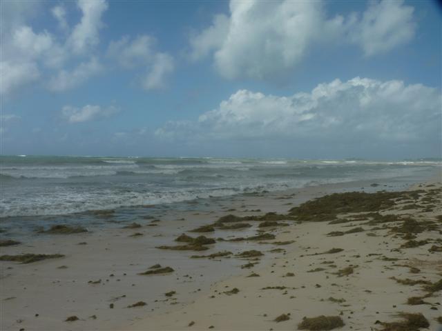 Name:  P1010302 (Small).JPG
Views: 772
Size:  33.3 KB