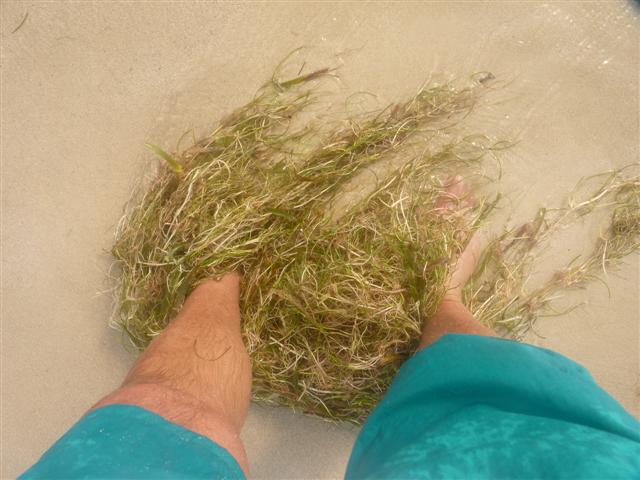 Name:  P1010333 (Small).JPG
Views: 682
Size:  52.1 KB