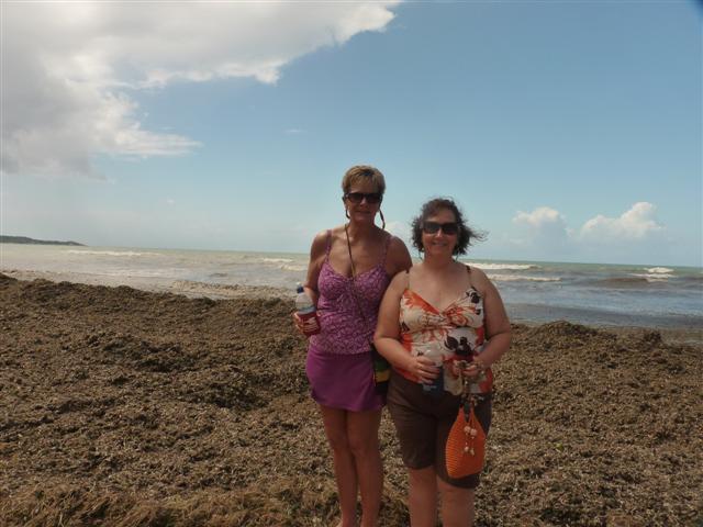 Name:  P1010366 (Small).JPG
Views: 677
Size:  51.2 KB