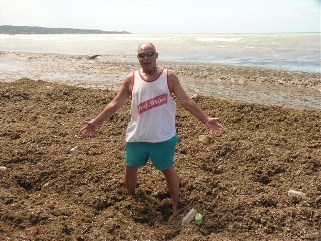 Name:  P1010369 (Small).JPG
Views: 645
Size:  83.5 KB
