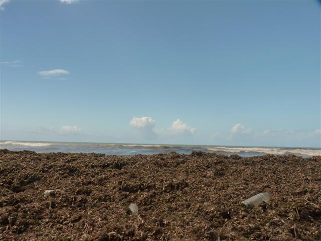Name:  P1010375 (Small).JPG
Views: 624
Size:  45.1 KB
